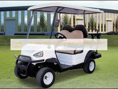 2 kişilik / 2+2 kişilik Elektrikli Golf Arabaları Kurşun asit akü / Lityum pil